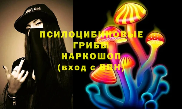 Альфа ПВП Козловка