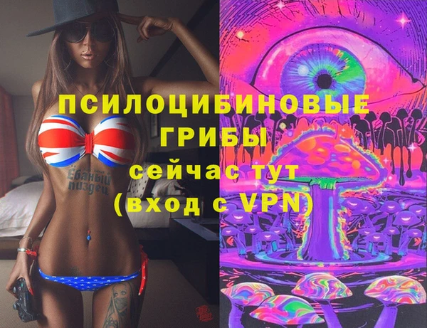 не бодяженный Козельск