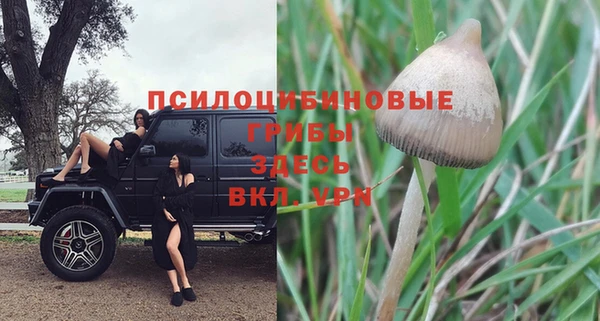 2c-b Кодинск