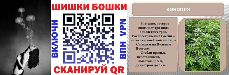 Марихуана MAZAR  Купить закладки  Таштагол 